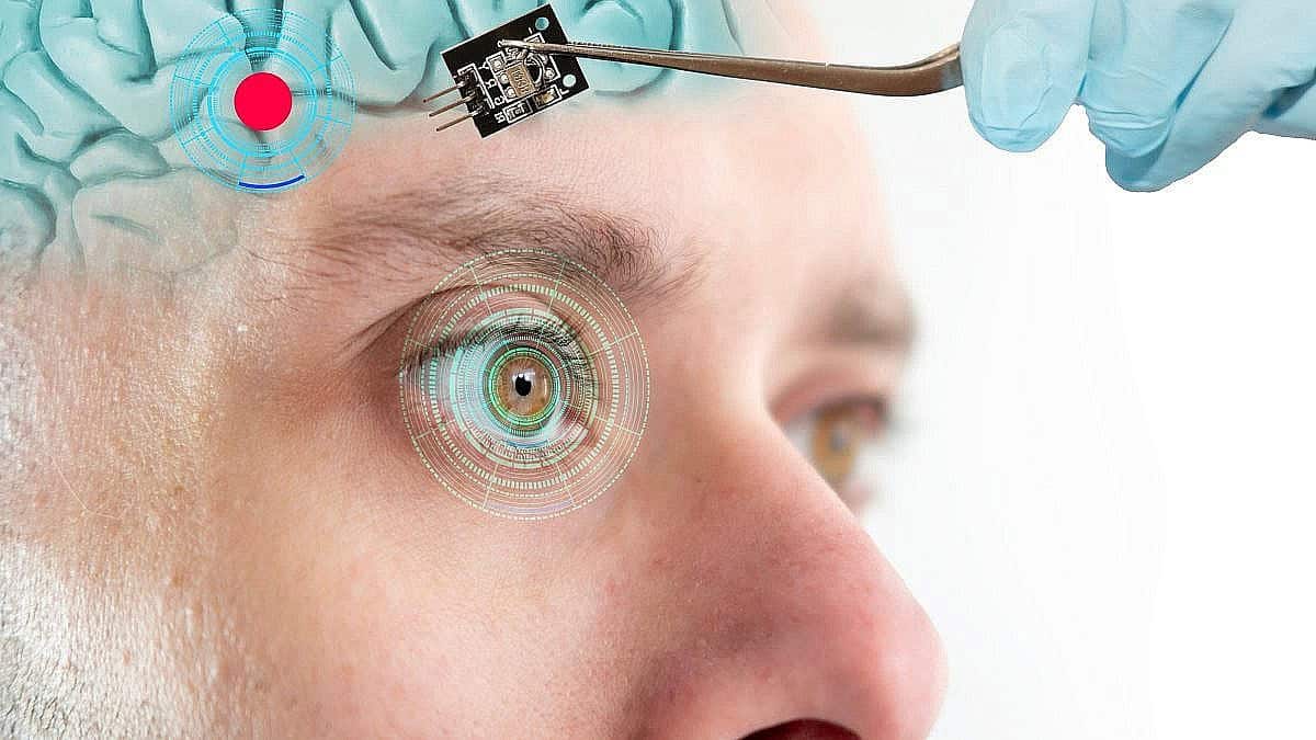 הדמיה: Shutterstock